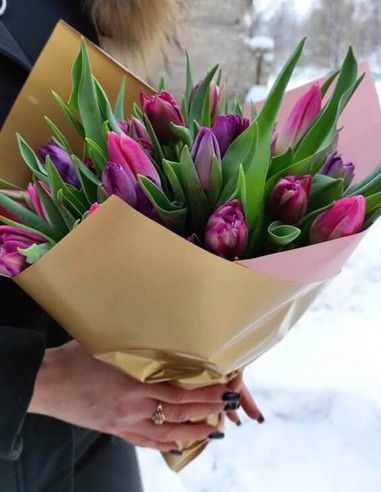 Tulpės Rūžava Pinky