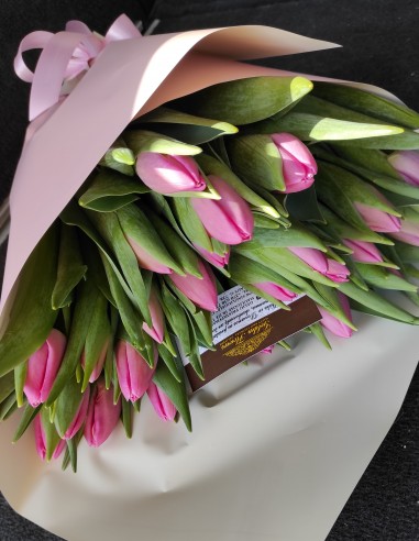 Tulpės Rūžava Pinky