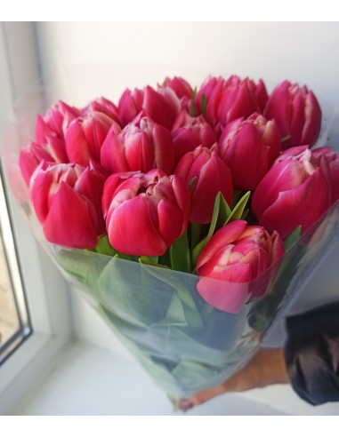 Tulpės Rūžava Pinky