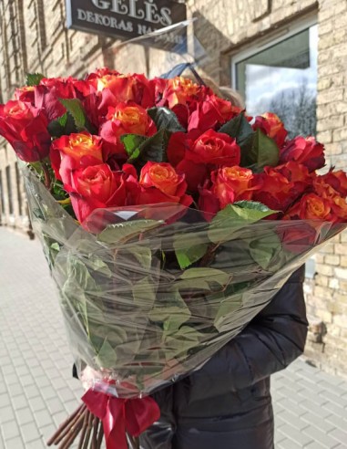 Salantoi Equador Rožės 70-80cm