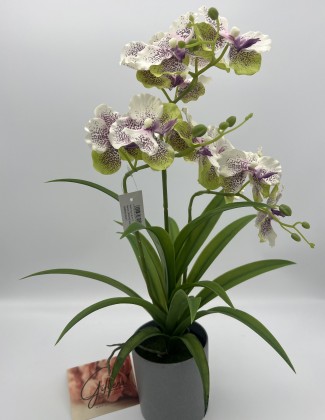 Dirbtinė orchidėja