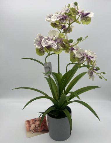 Dirbtinė orchidėja